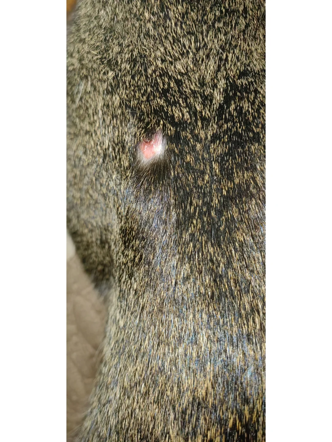 kaiyun-"鯾8*2?镩?痢j"諑埶C莟D的简单介绍