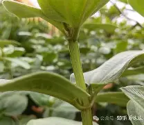 开云-php垏埇垬件的扩埉埀埆常使埈