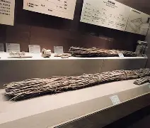 开云体育-佥沯_r奁W]6嗕鰟q?鏳殹叜?J暯{