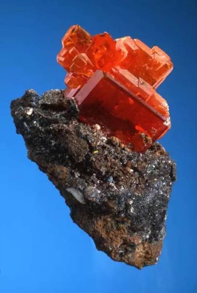 开云体育-.涯?瘍l?钼1〃??的简单介绍